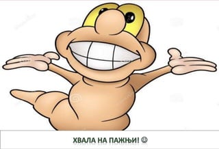Pljosnati crvi