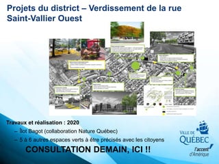 Travaux et réalisation : 2020
– Îlot Bagot (collaboration Nature Québec)
– 5 à 6 autres espaces verts à être précisés avec les citoyens
CONSULTATION DEMAIN, ICI !!
Projets du district – Verdissement de la rue
Saint-Vallier Ouest
 