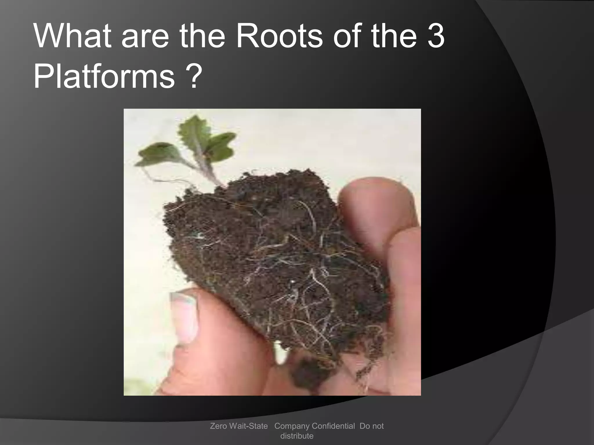 What are the Roots of the 3
Platforms ?




           Zero Wait-State Company Confidential Do not
                            distribute
 