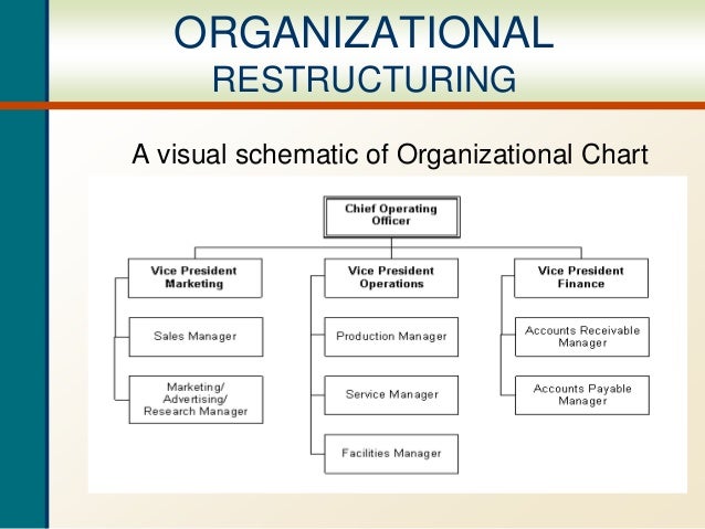 Organization Charts Are The Visual Indication Of A Firm S