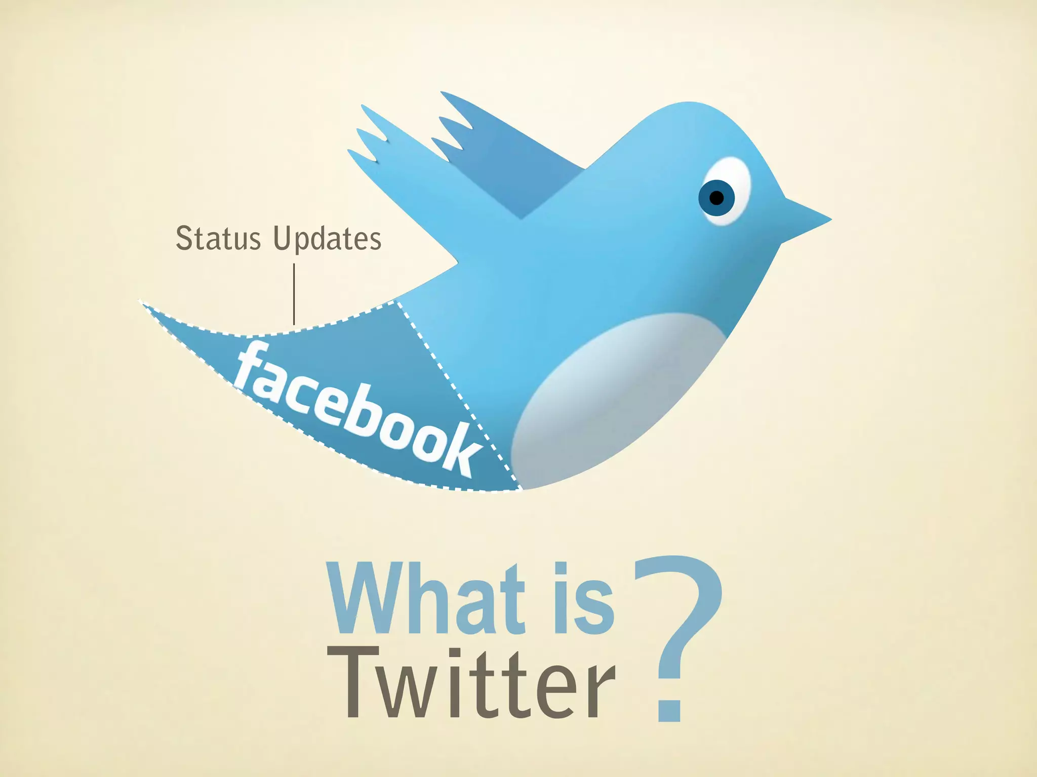 Status Updates




          What is
          Twitter   ?
 