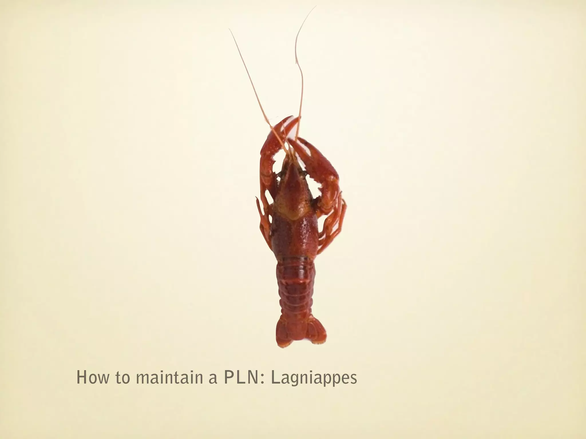 How to maintain a PLN: Lagniappes
 