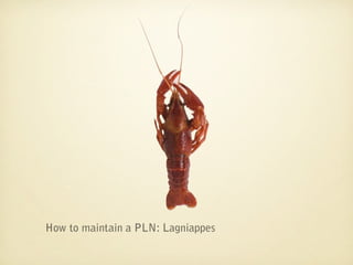 How to maintain a PLN: Lagniappes
 