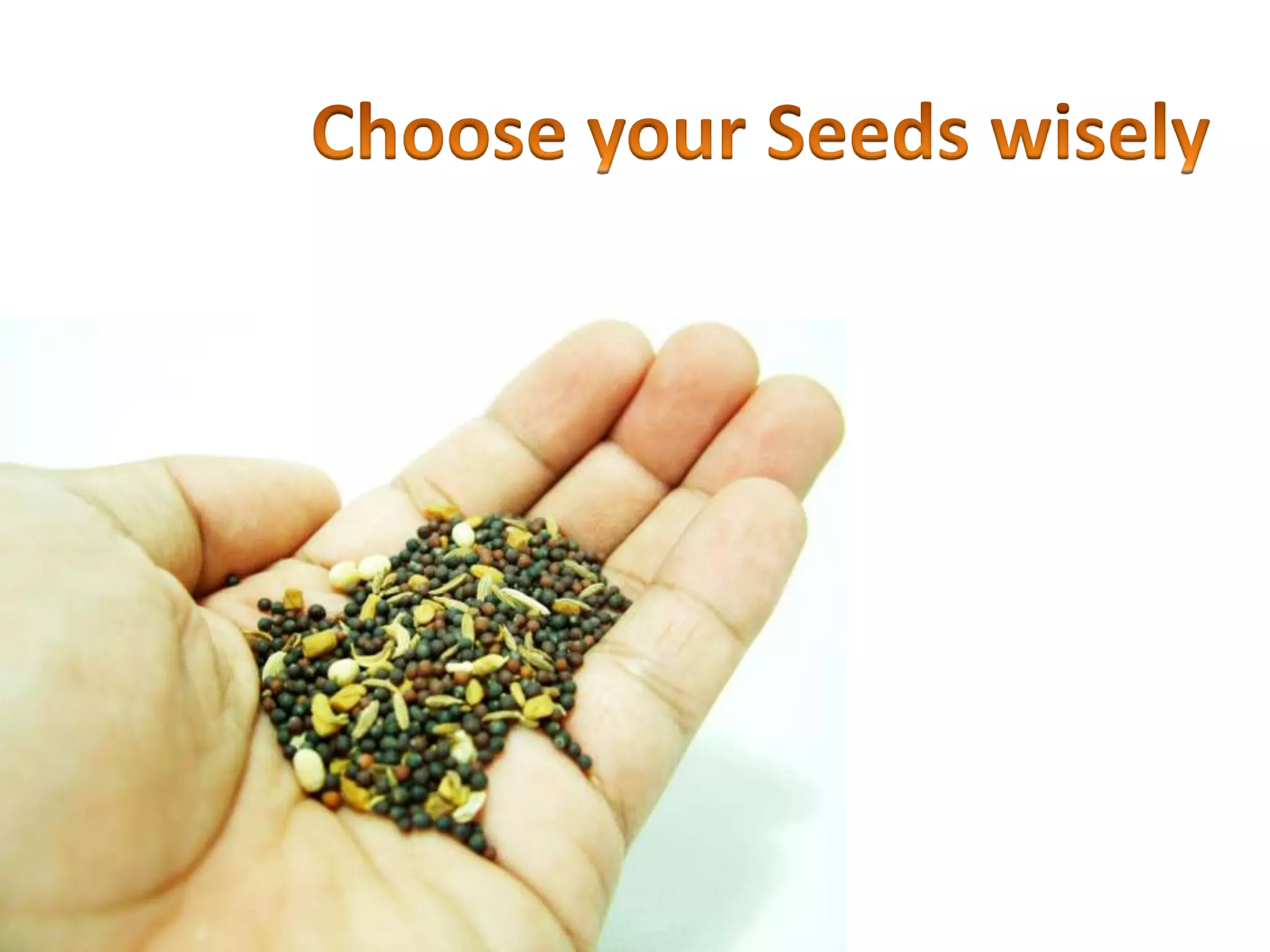 Choose your Seeds wisely