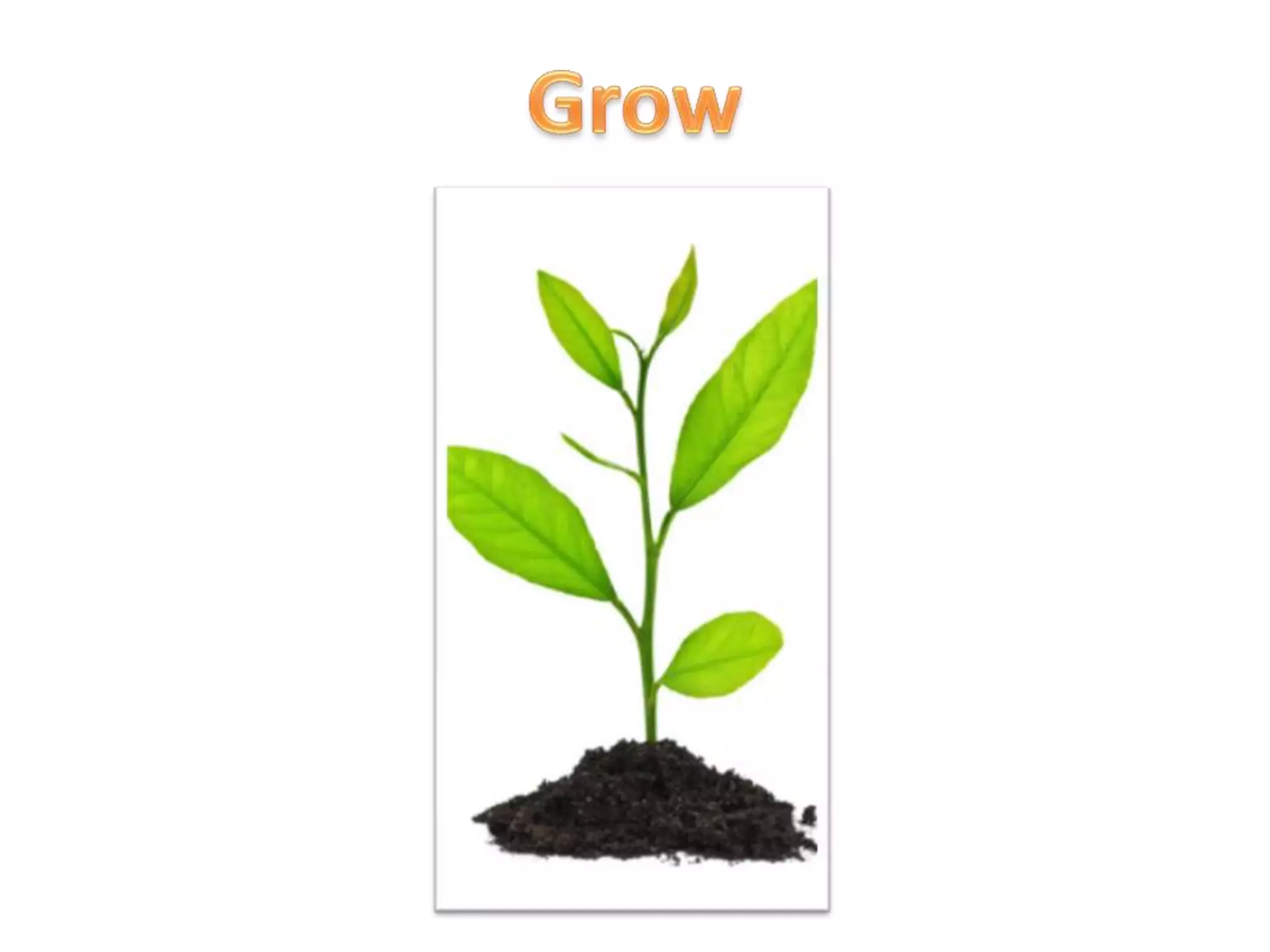 Grow