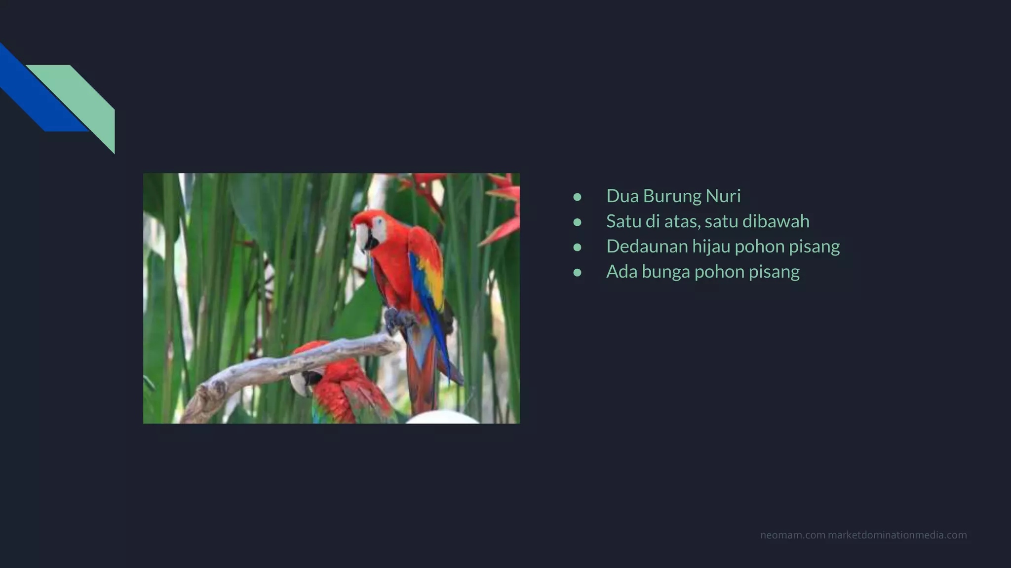 ● Dua Burung Nuri
● Satu di atas, satu dibawah
● Dedaunan hijau pohon pisang
● Ada bunga pohon pisang
neomam.com marketdominationmedia.com
 