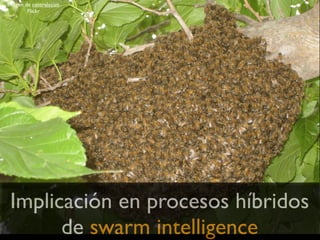 Imagen de centralasian.
        Flickr




 Implicación en procesos híbridos
       de swarm intelligence
 