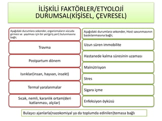 Aşağıdaki durumlara sekonder, organizmaların vücuda
girmesi ve yayılması için bir yer(giriş yeri) bulunmasına
bağlı;
Travma
Postpartum dönem
Isırıklar(insan, hayvan, insekt)
Termal yaralanmalar
Sıcak, nemli, karanlık ortam(deri
katlanması, alçılar)
Aşağıdaki durumlara sekonder, Host savunmasının
baskılanmasına bağlı;
Uzun süren immobilite
Hastanede kalma süresinin uzaması
Malnütrisyon
Stres
Sigara içme
Enfeksiyon öyküsü
İLİŞKİLİ FAKTÖRLER/ETYOLOJİ
DURUMSAL(KİŞİSEL, ÇEVRESEL)
Bulaşıcı ajanlarla(nazokomiyal ya da toplumda edinilen)temasa bağlı
 