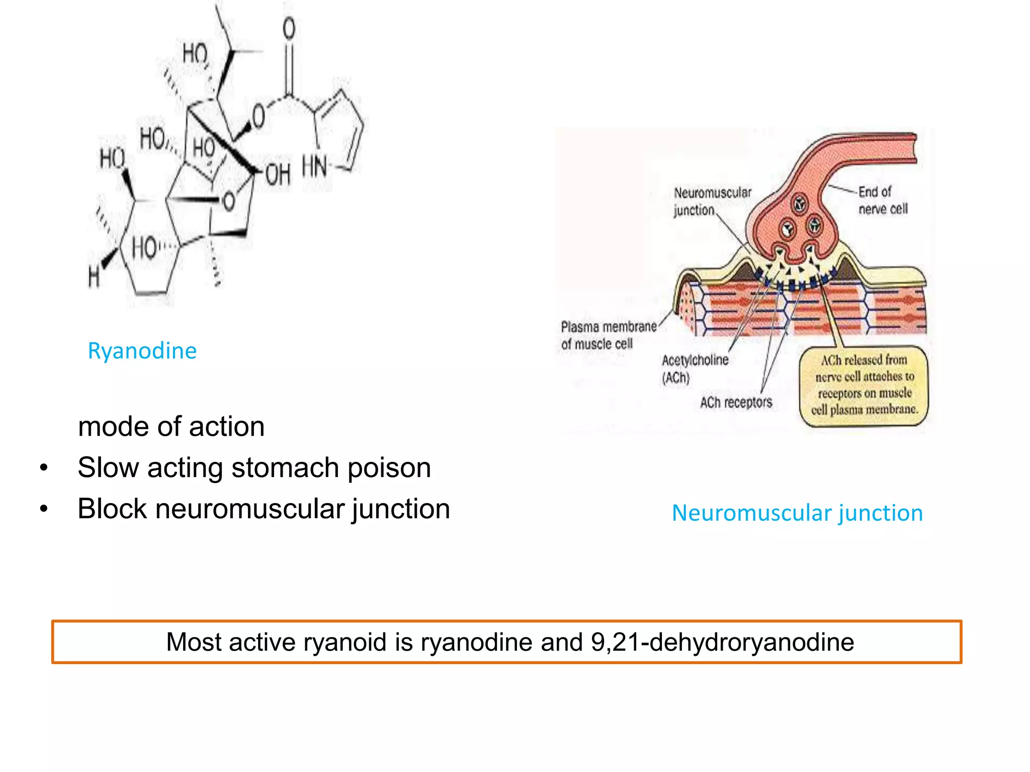 Ryanodine

mode of action
• Slow acting stomach poison
• Block neuromuscular junction

Neuromuscular junction

Most active ryanoid is ryanodine and 9,21-dehydroryanodine

 