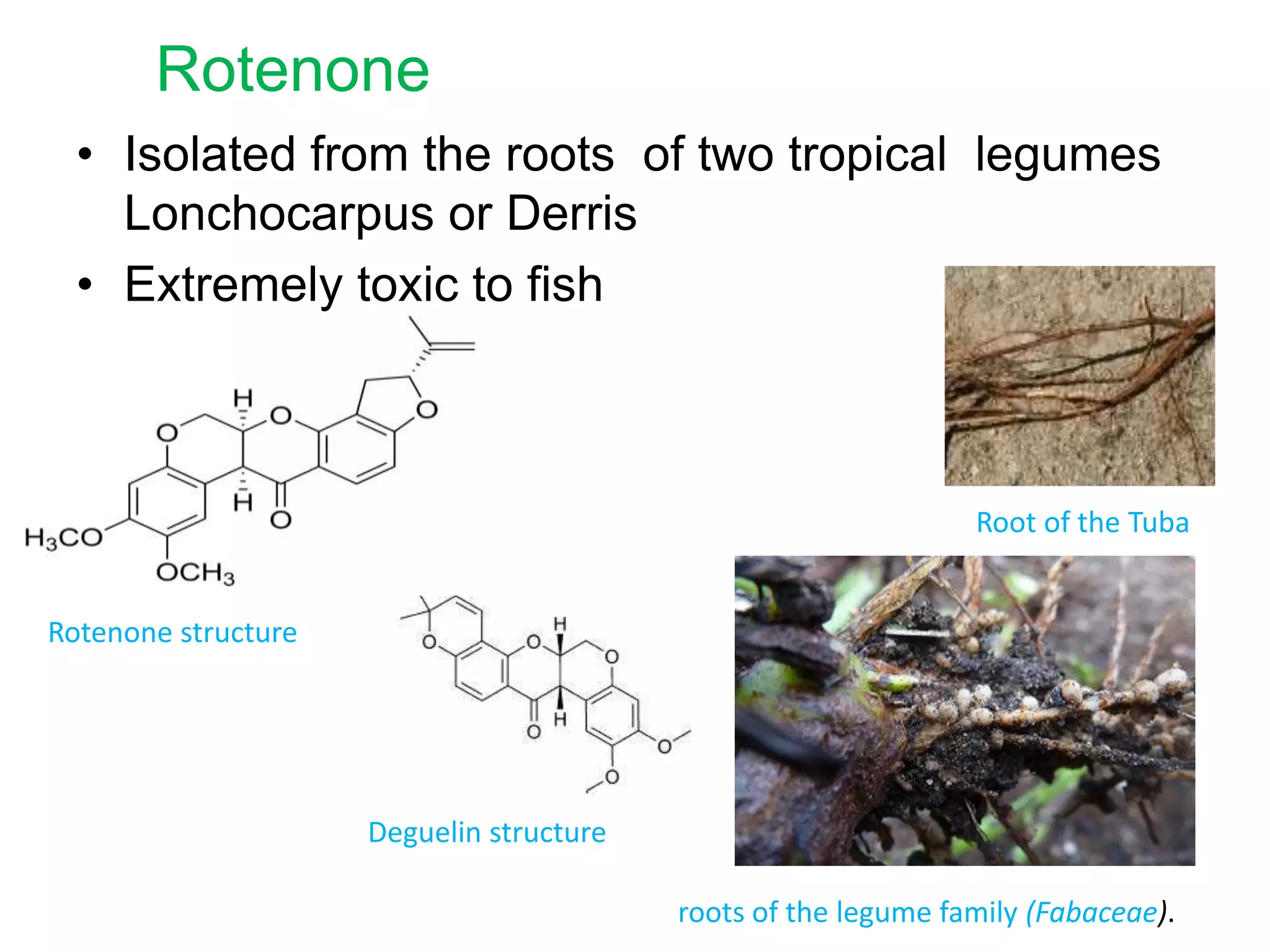 Rotenone
• Isolated from the roots of two tropical legumes
Lonchocarpus or Derris
• Extremely toxic to fish

Root of the Tuba
Rotenone structure

Deguelin structure
roots of the legume family (Fabaceae).

 