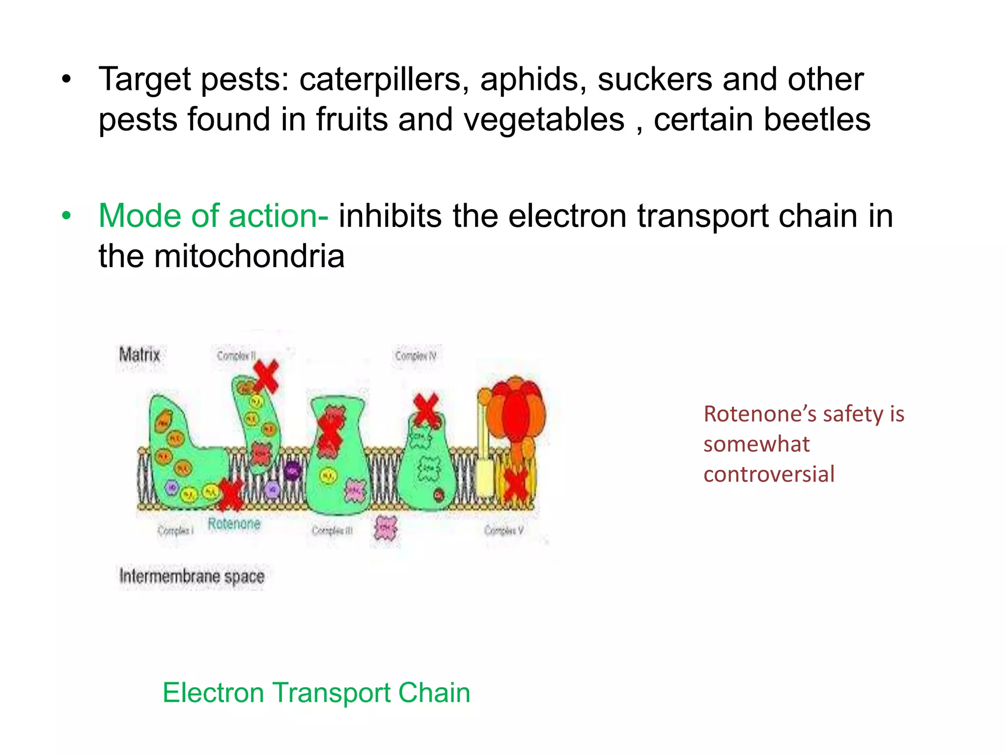 • Target pests: caterpillers, aphids, suckers and other
pests found in fruits and vegetables , certain beetles
• Mode of action- inhibits the electron transport chain in
the mitochondria

Rotenone’s safety is
somewhat
controversial

Electron Transport Chain

 