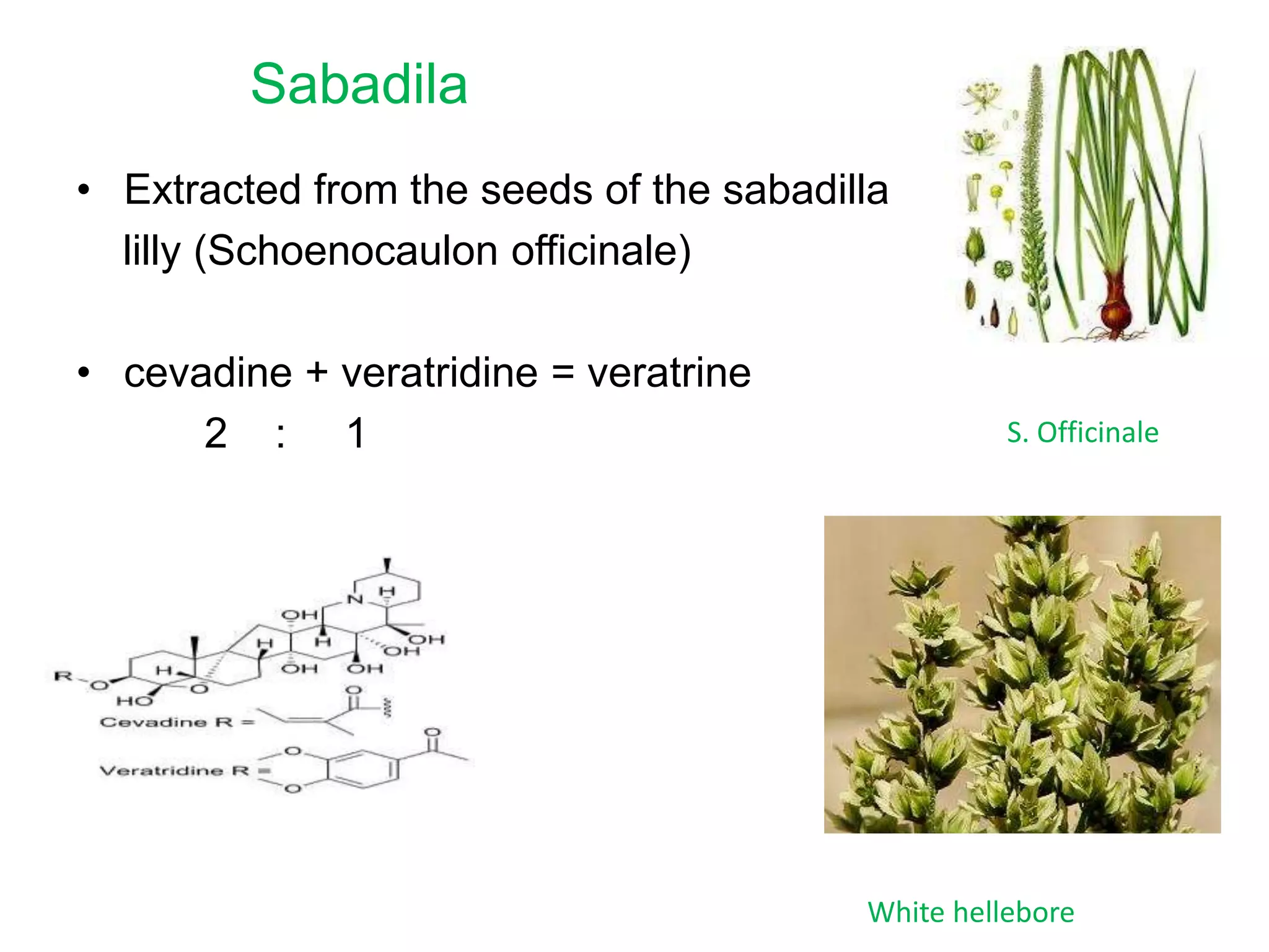 Sabadila
• Extracted from the seeds of the sabadilla
lilly (Schoenocaulon officinale)
• cevadine + veratridine = veratrine
2 : 1

S. Officinale

White hellebore

 