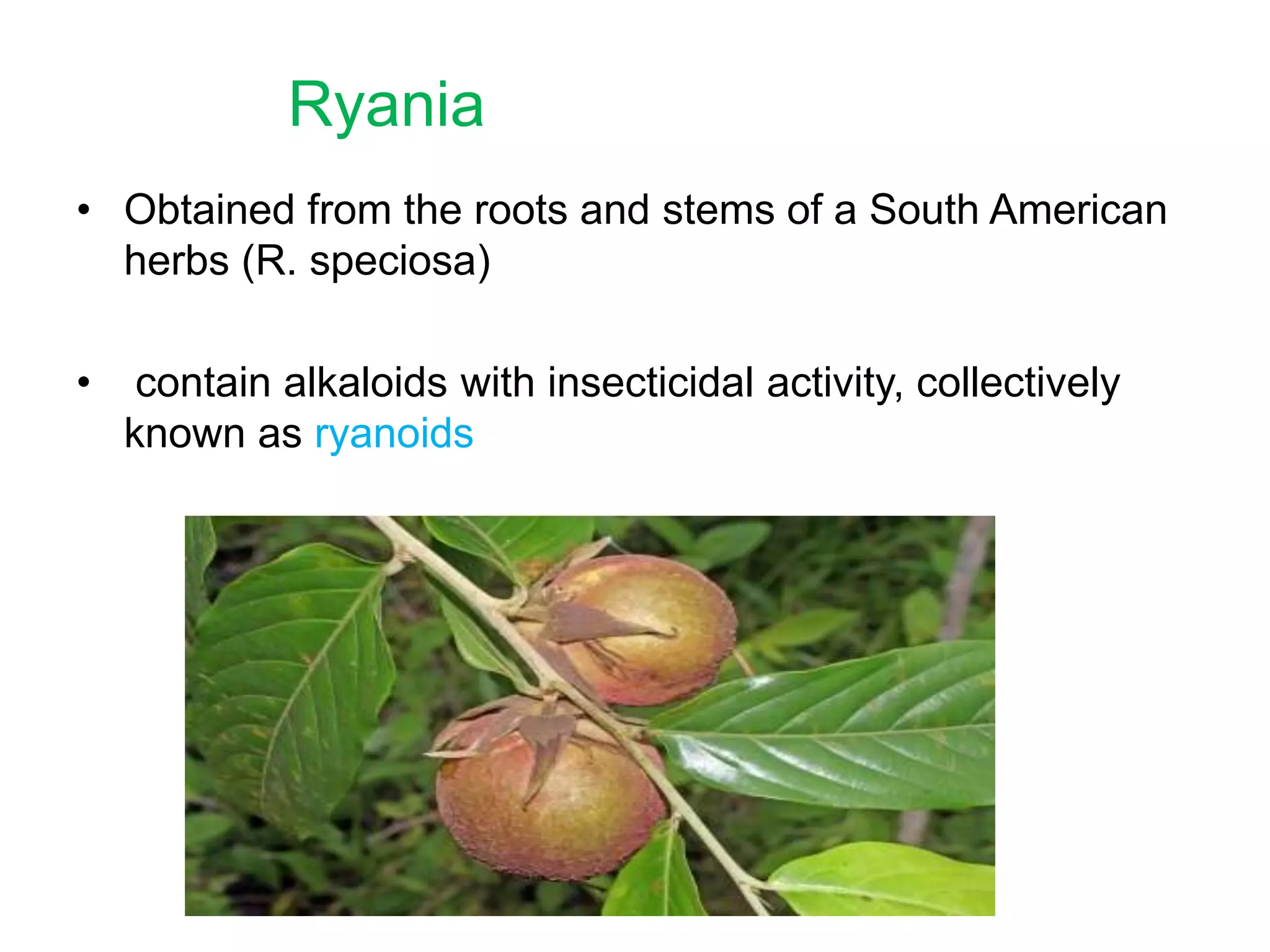 Ryania
• Obtained from the roots and stems of a South American
herbs (R. speciosa)
•

contain alkaloids with insecticidal activity, collectively
known as ryanoids

 