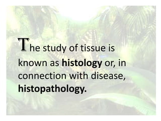 The study of tissue is
known as histology or, in
connection with disease,
histopathology.
 