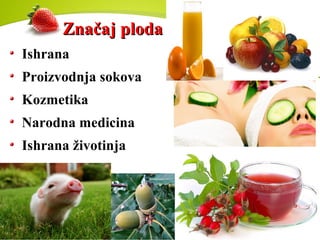 Značaj plodaZnačaj ploda
Ishrana
Proizvodnja sokova
Kozmetika
Narodna medicina
Ishrana životinja
 