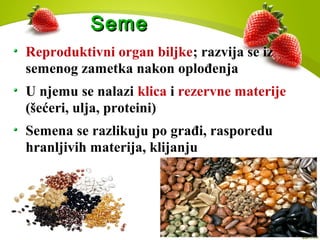 SemeSeme
Reproduktivni organ biljke; razvija se iz
semenog zametka nakon oplođenja
U njemu se nalazi klica i rezervne materije
(šećeri, ulja, proteini)
Semena se razlikuju po građi, rasporedu
hranljivih materija, klijanju
 