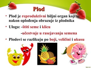 PlodPlod
Plod je reproduktivni biljni organ koji se
nakon oplođenja obrazuje iz plodnika
Uloga: -štiti seme i klicu
-učestvuje u rasejavanju semena
Plodovi se razlikuju po boji, veličini i ukusu
 