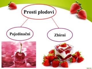 Prosti plodovi
Pojedinačni Zbirni
 