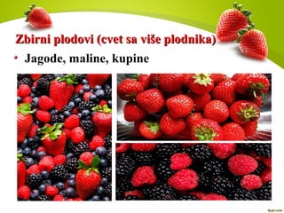 Zbirni plodovi (cvet sa više plodnika)Zbirni plodovi (cvet sa više plodnika)
Jagode, maline, kupine
 