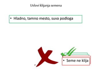 Uslovi klijanjasemena
• Toplo, osunčano mesto, vlažna podloga
• Seme klija
• Mračno, toplo mesto, vlažna podloga
• Seme klija
• Toplo, osunčano mesto, suva podloga
• Seme ne klija
• Hladno, tamno mesto, suva podloga
• Seme ne klija
 