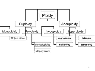 Ploidy
Euploidy Aneuploidy
Monoploidy Polyploidy hypoploidy hyperploidy
monosomy
nullisomy
trisomy
tetrasomy
Only in plants
autopolyploidy
allopolyploidy
10
 