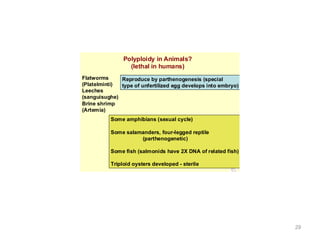 9
Bio
312
FALL
03
Polyploidy in Animals?
(lethal in humans)
Some amphibians (sexual cycle)
Some salamanders, four-legged reptile
(parthenogenetic)
Some fish (salmonids have 2X DNA of related fish)
Triploid oysters developed - sterile
Flatworms
(Platelminti)
Leeches
(sanguisughe)
Brine shrimp
(Artemia)
Reproduce by parthenogenesis (special
type of unfertilized egg develops into embryo)
29
 