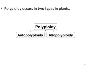Polyploidy
Autopolyploidy Allopolyploidy
31
• Polyploidy occurs in two types in plants.
 