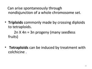 Can arise spontaneously through
nondisjunction of a whole chromosome set.
• Triploids commonly made by crossing diploids
to tetraploids.
2n X 4n = 3n progeny (many seedless
fruits)
• Tetraploids can be induced by treatment with
colchicine .
34
 