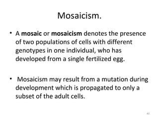Mosaicism.
• A mosaic or mosaicism denotes the presence
of two populations of cells with different
genotypes in one individual, who has
developed from a single fertilized egg.
• Mosaicism may result from a mutation during
development which is propagated to only a
subset of the adult cells.
40
 