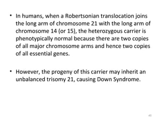 • In humans, when a Robertsonian translocation joins
the long arm of chromosome 21 with the long arm of
chromosome 14 (or 15), the heterozygous carrier is
phenotypically normal because there are two copies
of all major chromosome arms and hence two copies
of all essential genes.
• However, the progeny of this carrier may inherit an
unbalanced trisomy 21, causing Down Syndrome.
45
 