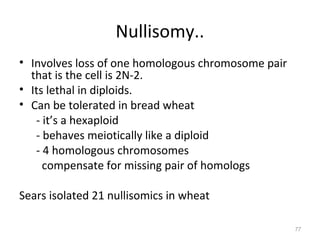 Nullisomy..
• Involves loss of one homologous chromosome pair
that is the cell is 2N-2.
• Its lethal in diploids.
• Can be tolerated in bread wheat
- it’s a hexaploid
- behaves meiotically like a diploid
- 4 homologous chromosomes
compensate for missing pair of homologs
Sears isolated 21 nullisomics in wheat
77
 