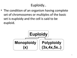 Ploidy - Wikipedia