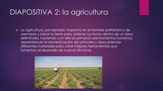 DIAPOSITIVA 2: la agricultura 
 La agricultura, por ejemplo, implanto en el hombre prehistórico de 
asentarse y labrar la tierra para obtener sus frutos dentro de un área 
delimitada, haciendo con ello los primeros asentamientos humanos, 
desarrollando la domesticación de animales y descubriendo 
diferentes materiales para crear mejores herramientas que 
fomentan el desarrollo de nuevas técnicas. 
 