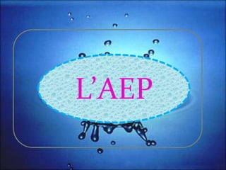 L’AEP
 