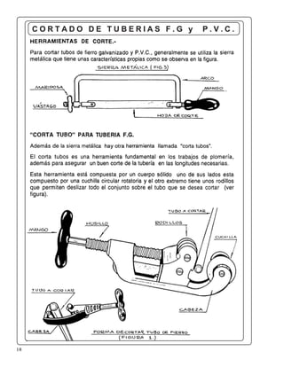 18
C O R T A D O D E T U B E R I A S F . G y P . V . C .
 