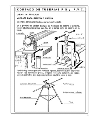 19
C O R T A D O D E T U B E R I A S F . G y P . V . C .
 