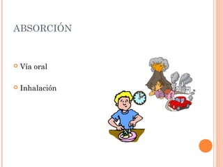 ABSORCIÓN


   Vía oral

   Inhalación
 