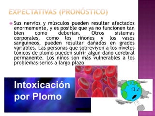 

Sus nervios y músculos pueden resultar afectados
enormemente, y es posible que ya no funcionen tan
bien
como
deberían.
Otros
sistemas
corporales, como los riñones y los vasos
sanguíneos, pueden resultar dañados en grados
variables. Las personas que sobreviven a los niveles
tóxicos de plomo pueden sufrir algún daño cerebral
permanente. Los niños son más vulnerables a los
problemas serios a largo plazo

 