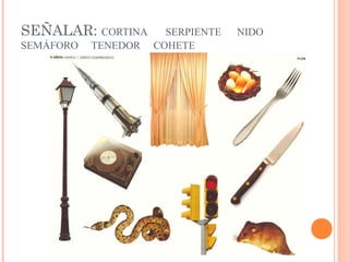 SEÑALAR: CORTINA SERPIENTE NIDO
SEMÁFORO TENEDOR COHETE