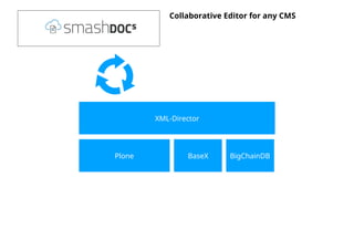 Plone BaseX BigChainDB
XML-Director
Collaborative Editor for any CMS
 