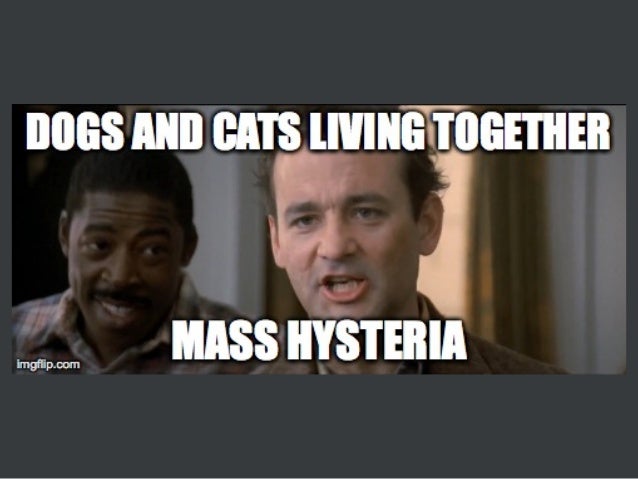dogs-and-cats-living-together-mass-hyste