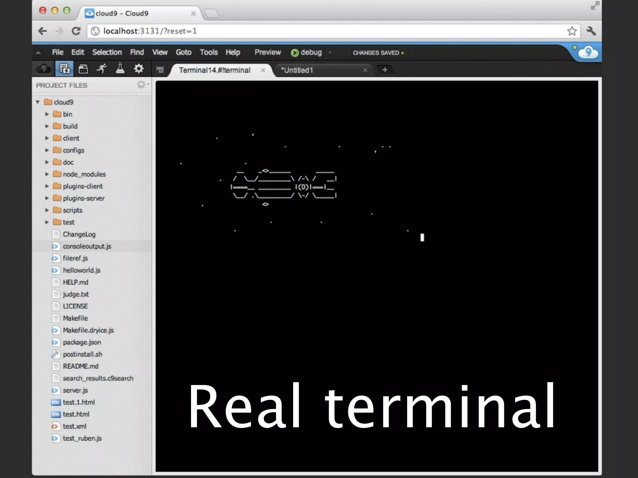 Real terminal
 