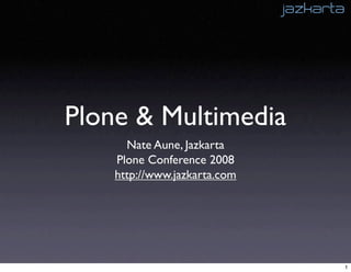 Plone & Multimedia
      Nate Aune, Jazkarta
    Plone Conference 2008
    http://www.jazkarta.com




                              1
 