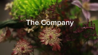 The Company
 