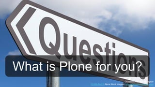 What is Plone for you?
Questions - by Nick Youngson
CC-BY-SA 3.0 Alpha Stock Images - http://alphastockimages.com/
 