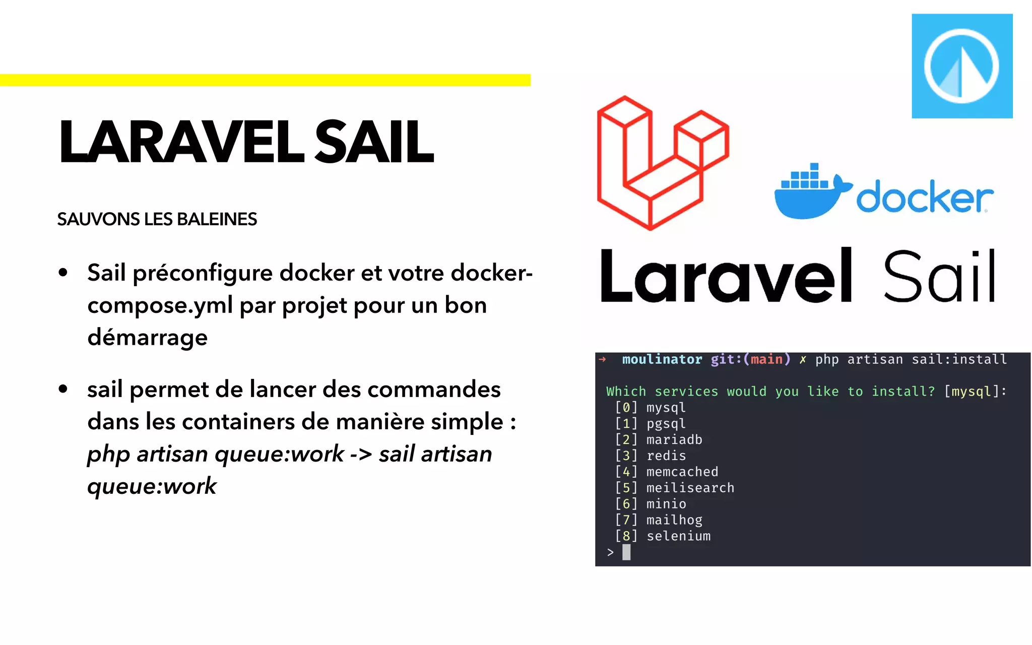 • Sail précon
fi
gure docker et votre docker-
compose.yml par projet pour un bon
démarrage


• sail permet de lancer des commandes
dans les containers de manière simple :
 
php artisan queue:work -> sail artisan
queue:work
LARAVELSAIL
SAUVONS LES BALEINES
 