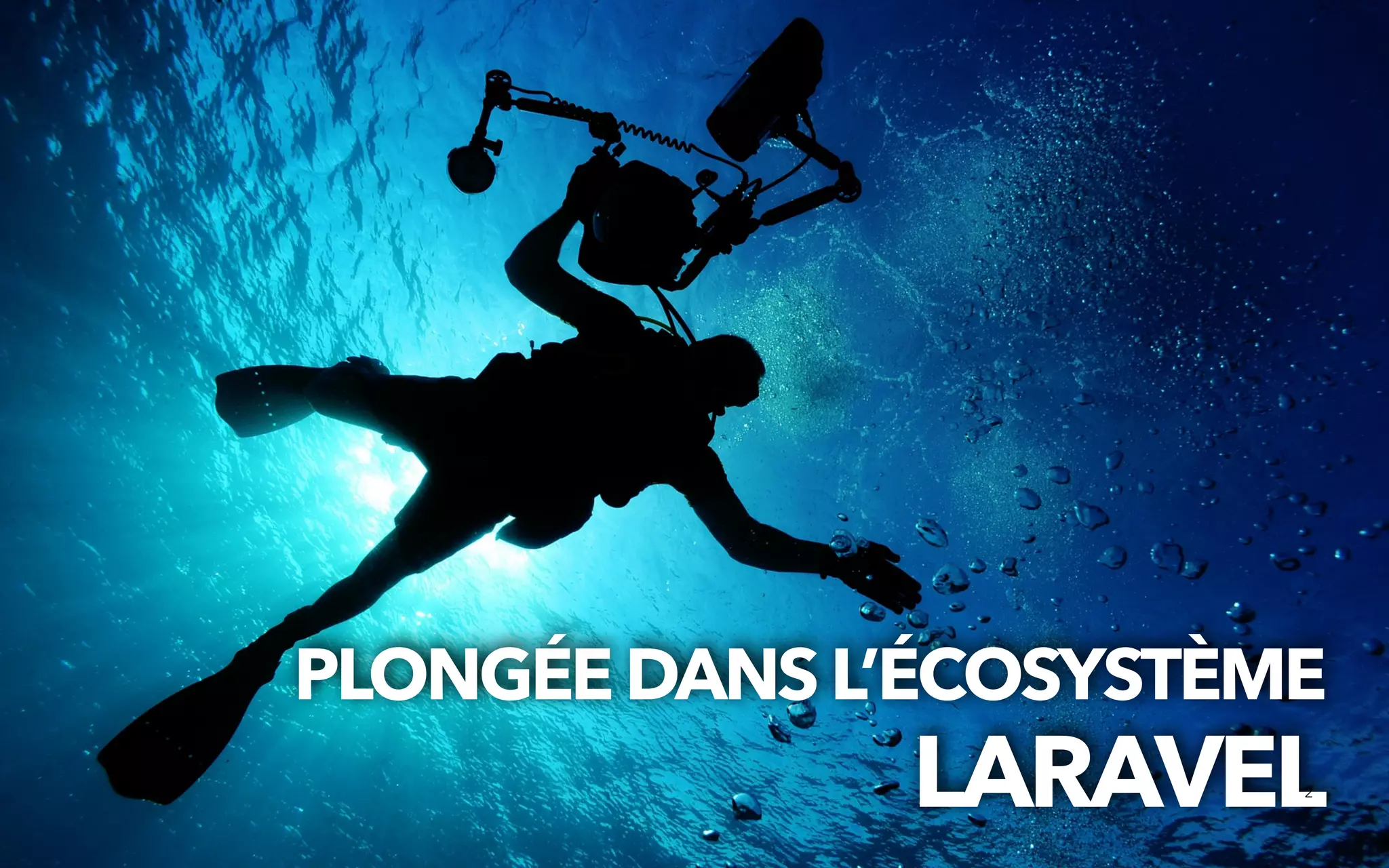 PLONGÉEDANSL’ÉCOSYSTÈME


LARAVEL
2
 