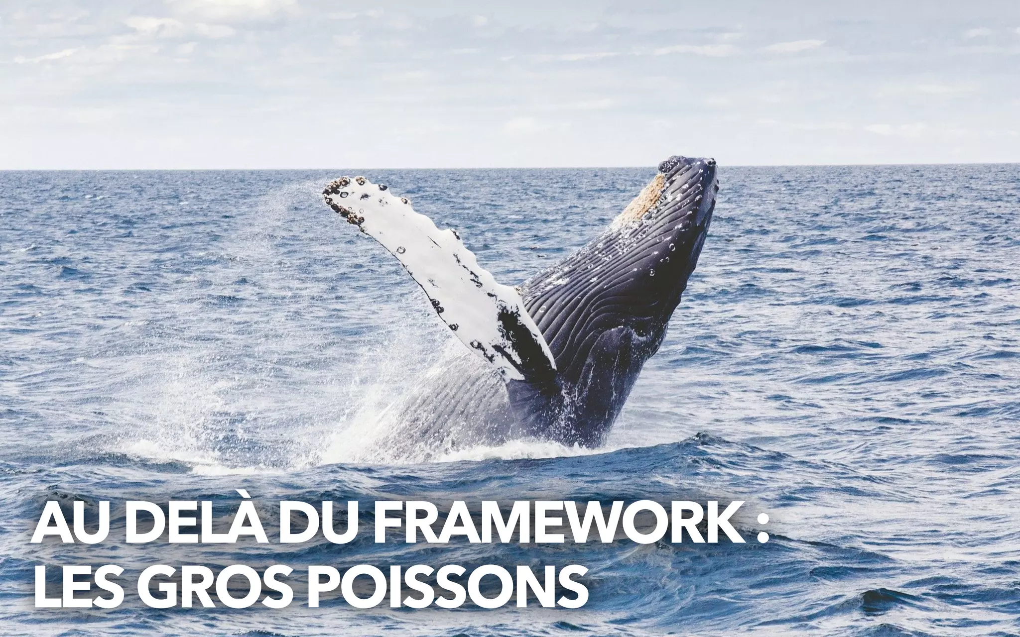 AU DELÀDUFRAMEWORK:


LESGROSPOISSONS
 