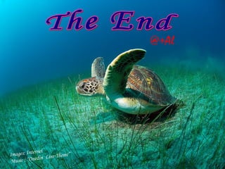 Images: Internet
Music : “Onedin Line Theme”
@+Al