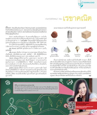 Plook ฉบับเดือน เมษายน ปี 2011